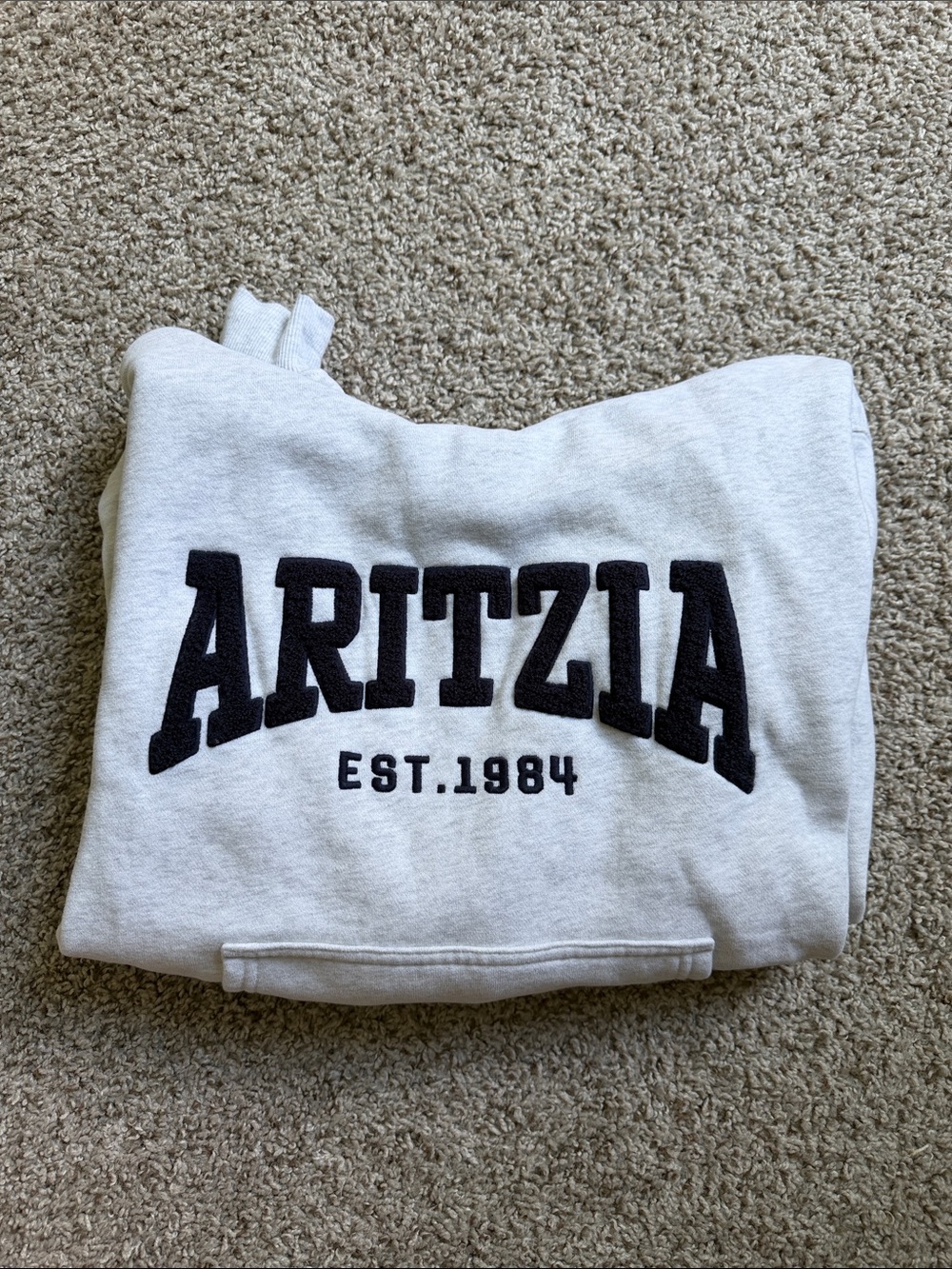 Aritzia Perfect Fit Hoodie